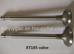 Diesel Engine Intake and Exhaust Head Valve