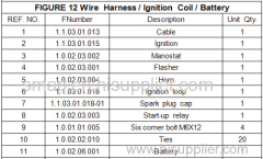 FIGURE 12 Wire Harness / Ignition Coil / Battery