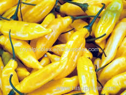 fresh yellow chili pepper