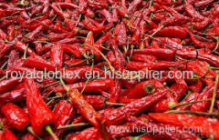 high quality red chili pepper