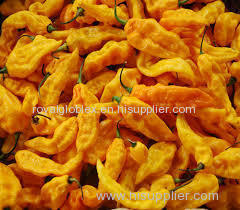 high quality yellow pepper