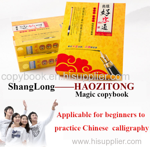 HAO ZI TONG practice calligraghy copybook for beginners groove font magic word hard pen