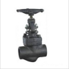 Forged Steel Bolted Globe Valve