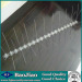 China Supplier Stainless Steel Bird Spikes