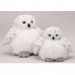 White Snow Owl Baby Plumpee Plush