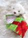 Fine and cute paper material Christmas Box with color silk ribbon