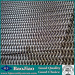 Stainless Steel Decoration Mesh used for Wall Panels/Wall Curtains/Interior Shade/Building Facade/Sunscreen