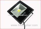 High Color Render IndexCOB Interior LED Flood Light 20 W With SAA