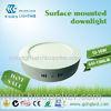 12 Watt Interior 2835 SMD Surface Mounted LED Downlight For Decoration