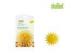 Coffee Air Freshener Starfish With Stick in Car Home Windows Romantic Encounter Spring Breeze
