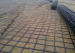 Steel Plastic Geogrid hengshui