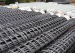 Steel Plastic Geogrid hengshui