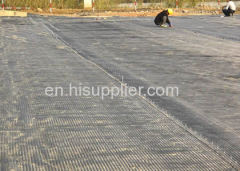 Polyester Geogrid heng shui