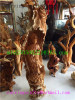 Collection Handmade tree root Wood Carving Crafts- cypress-10