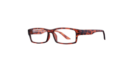 Hot sell Inside spring hinge stylish Demi reading glasses