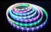 Outdoor use IP68 5050 IC RGB 5 Meter RGB LED Strip Light Color Changing