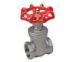 Thread End 200WOG Non Rising Gate Valve Z11F WCB / CF8M 1/2"-4"