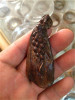 Hainan yellow pear wood Budda beads-eaglewood-3