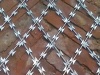 Welded Razor Wire Fencing