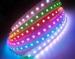 Living Room Decoration Ip20 19.2W LED RGB Strip Light in IC SMD5050