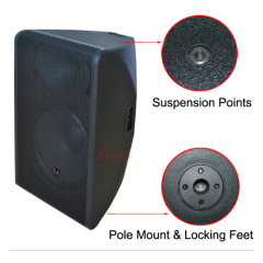 Hot Sale 12 inch Bluetooth Plastec Speaker Box PXL 12A