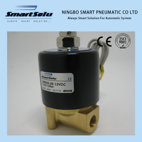 100% Test High Quality Two Way Brass Solenoid Valve