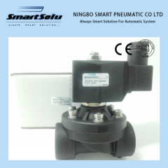 100% Test High Quality Two Way Plastic Solenoid Valve