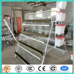 A and H type automatic chicken coop cages in tiers for poultry house