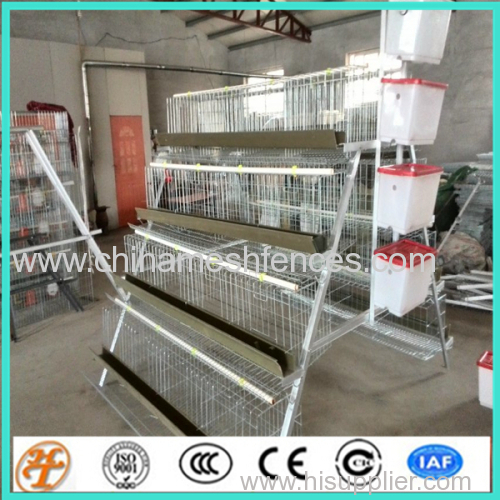 layer chicken coop cages