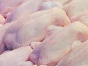 Bulgarian Chicken Meat Output Increasing as Investment Grows