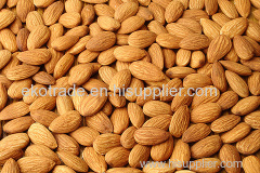 Apricot Kernels/ Bitter and Sweet Apricot Kernels