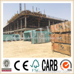 Black Film Faced Plywood / Film Face Plywood / Formwork Plywood