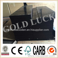 Black Film Faced Plywood / Film Face Plywood / Formwork Plywood