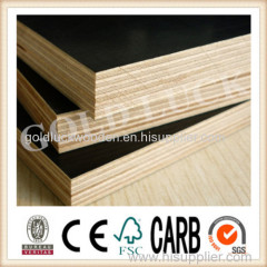 Black Film Faced Plywood / Film Face Plywood / Formwork Plywood