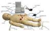 Auscultation Simulator Set / Pediatric Simulation Manikin with ECG Generator