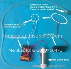 220V Quartz Tube Ozone Generator 1g/h for Air Purification System
