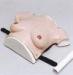 Female upper body hospital simulator modreate size breast for breast tumor examination