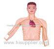 Male Adult torso clinical simulation center peripheral demonstration manikin