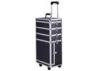 Custom Fashion Trolley Makeup Box ABS Portable Beauty Case With 2 Wheels