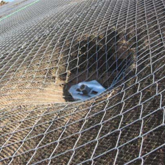 Steel Anchor net wire mesh