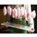 Thick Acrylic Countertop Food Display Transparent For Pretty Cotton Candy