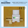 Check Valve 12V DC 24V DC 220V DC 6V DC 1/2