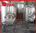 5BBL Stainless Steel Bright Beer Tank For Brewery High Precision Material