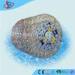 Transparent Commercial Inflatable Balls Hamster Security For Kids