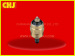 Solenoid HEUI new product