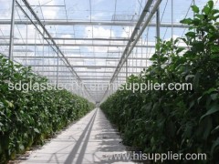 green house float glass