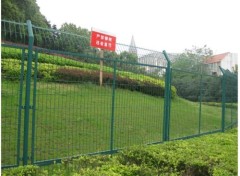 PVC-coated wire chain link fence