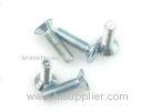 Professional Stainless Steel Bolts and Nuts / Go Kart Flat Head zinced