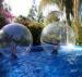 Enjoyable Inflatable Water Walking Balls / Human Inflatable Hamster Ball