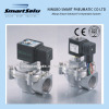 Smart High Quality Pulse Solenoid Valve